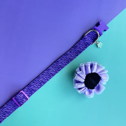 Collar para perros con flor tul lila- Cebra lila (Copia)