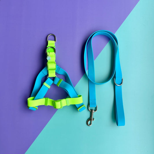 Arnés para perros en goma impermeable azul y verde neón con correa