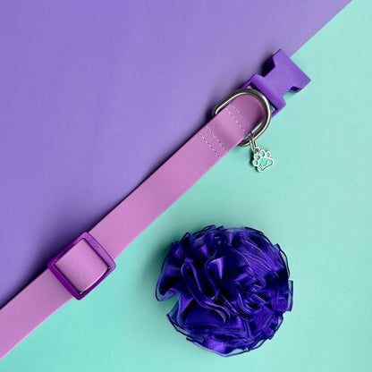 Collar para perros en goma impermeable lila con flor tul morada