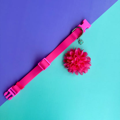 Collar para perros en goma fucsia con flor seda