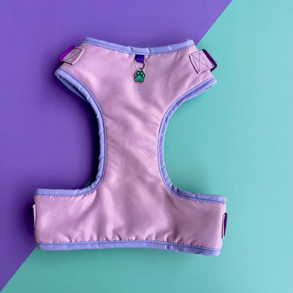 Pechera para perros sin correa lila