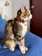 Gatita tricolor usando el collar con rosas de Navidad Magia Polar Roja