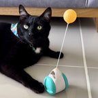 Gato negro junto al juguete balancín con pelota