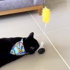 Gato jugando con el juguete balancín con pluma