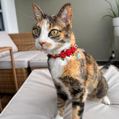 Collar para gatos con rosas Selección Colombia