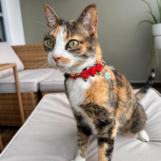 Collar para gatos con rosas Selección Colombia