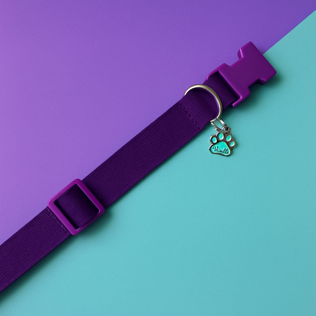Collar para perros Morado