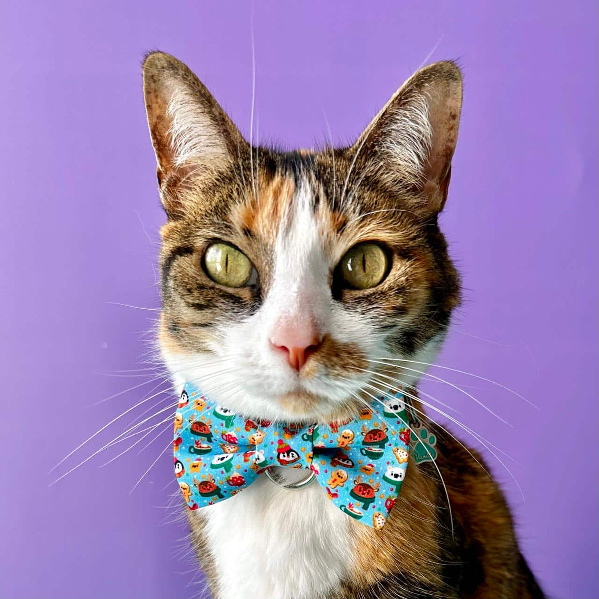 Corbatín para gatos de Navidad Magia Polar azul