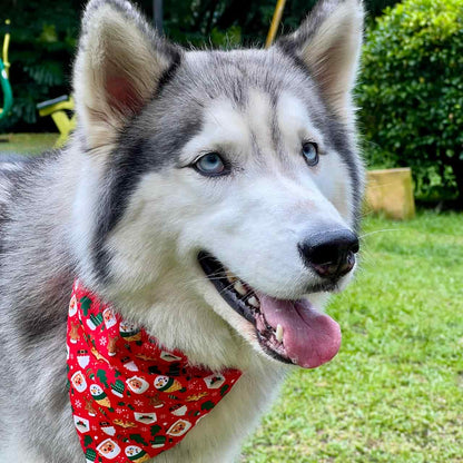 Pañoleta para perros de Navidad Papá Noél