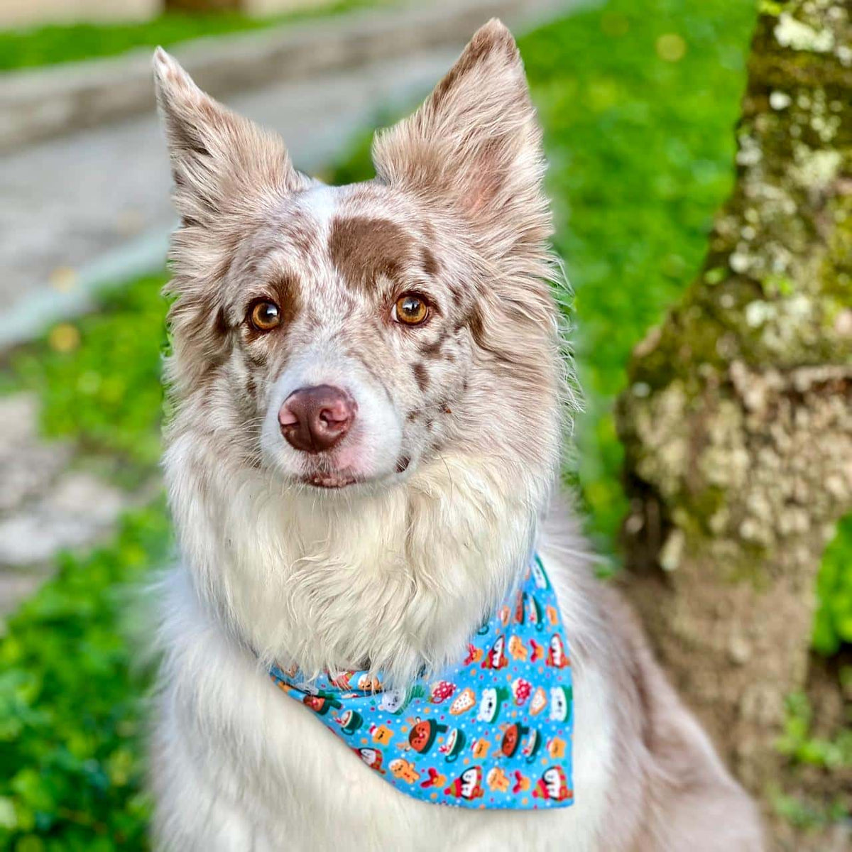 Pañoleta para perros de Navidad Magia Polar azul