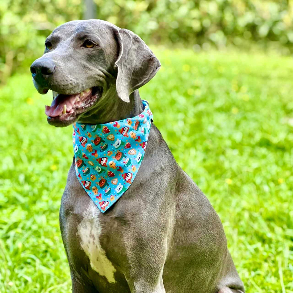 Pañoleta para perros de Navidad Magia Polar azul