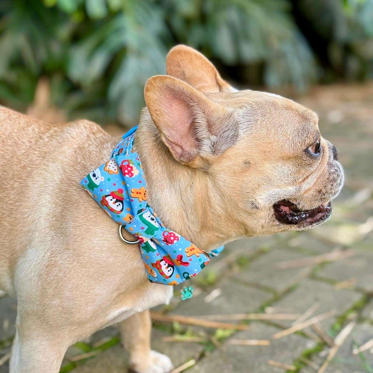 Corbatín para perros de Navidad Magia Polar azul