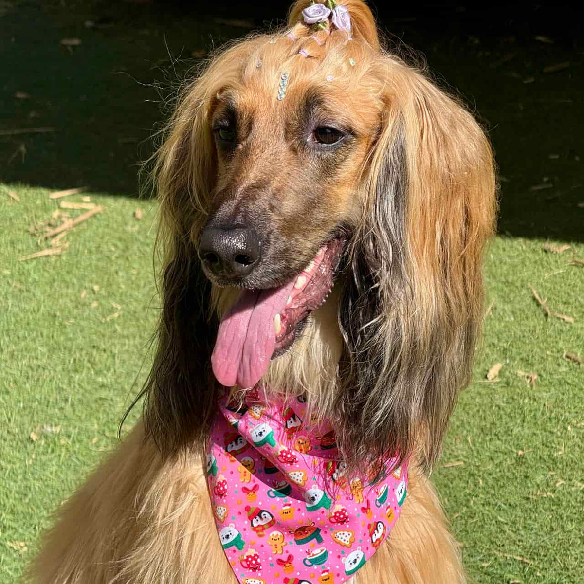 Pañoleta para perros de Navidad Magia Polar rosa