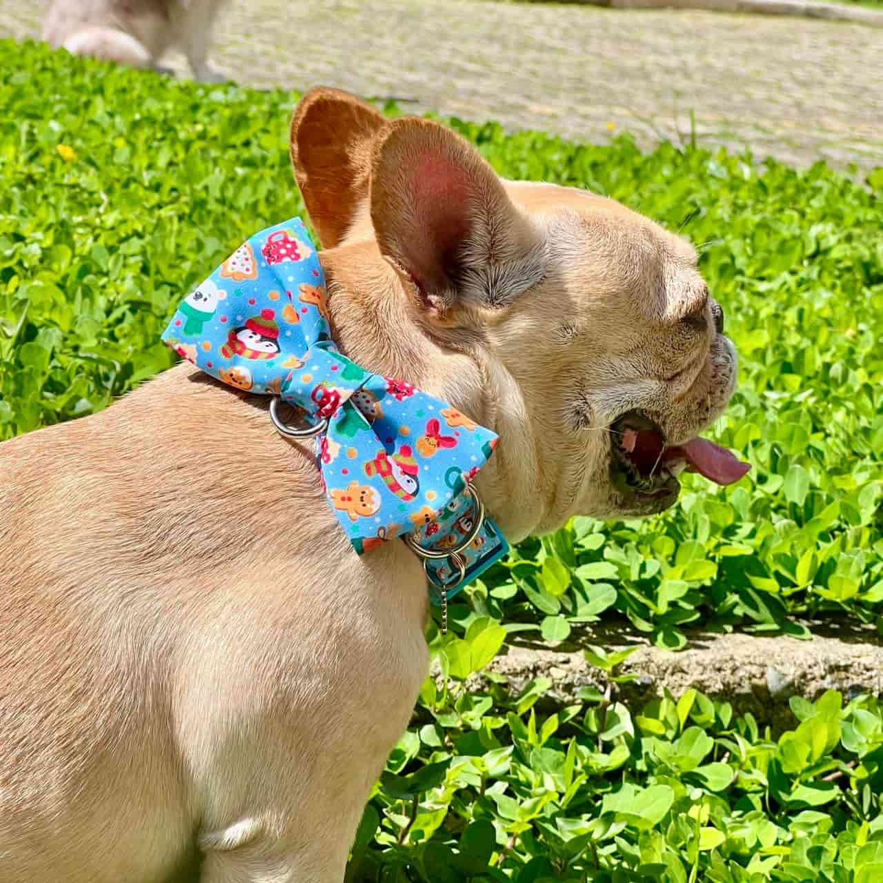 Corbatín para perros de Navidad Magia Polar azul