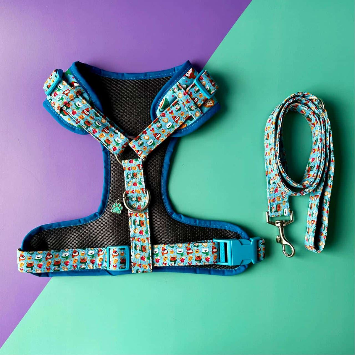 Pechera para perros con correa de Navidad Magia Polar azul