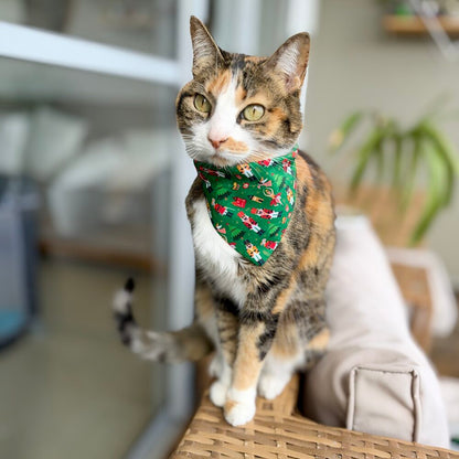 Gatita con pañoleta Cascanueces para Navidad