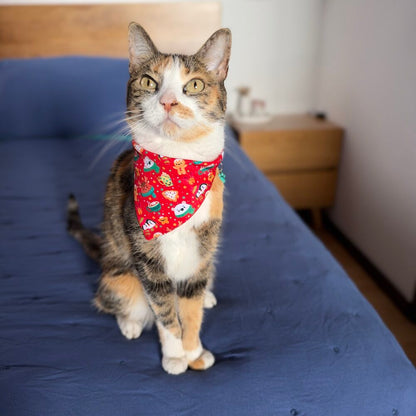 Gatita usando la pañoleta de Navidad Magia Polar Roja
