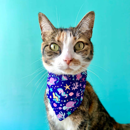 Pañoleta para gatos Océano