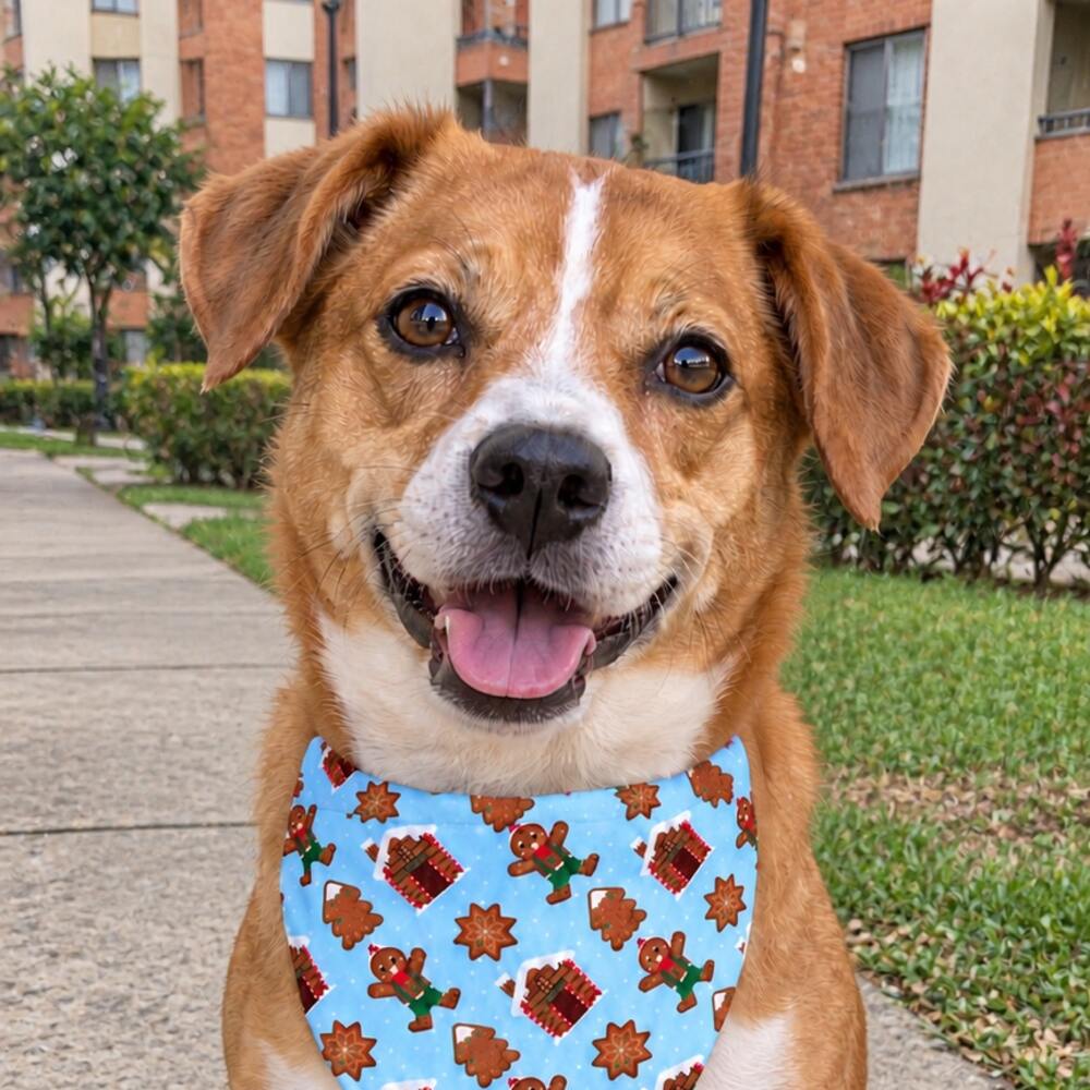Perro usando la pañoleta navideña Dulce Navidad