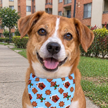 Perro usando la pañoleta navideña Dulce Navidad