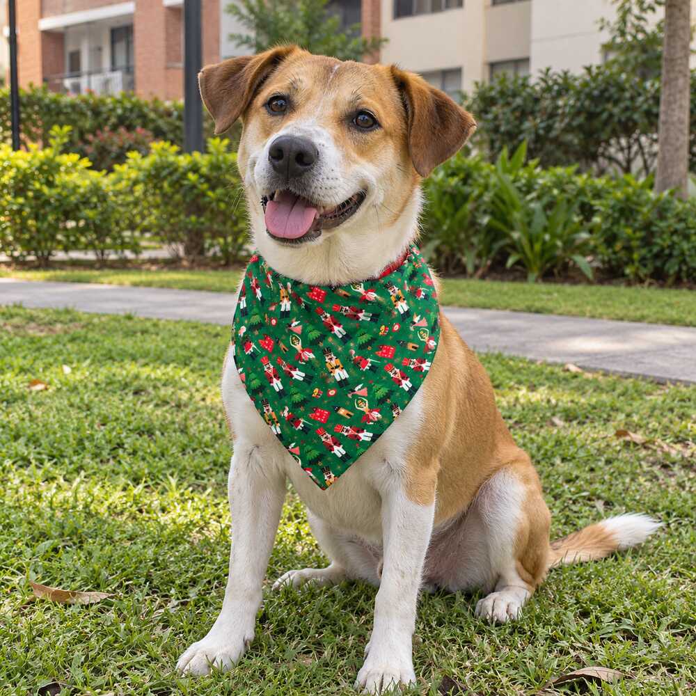 Perro criollo usando la pañoleta de Navidad Cascanueces