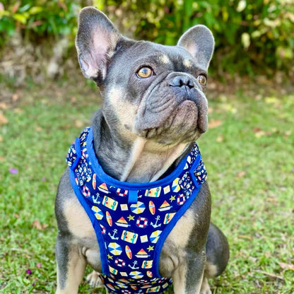 Pechera para perros sin correa Playa
