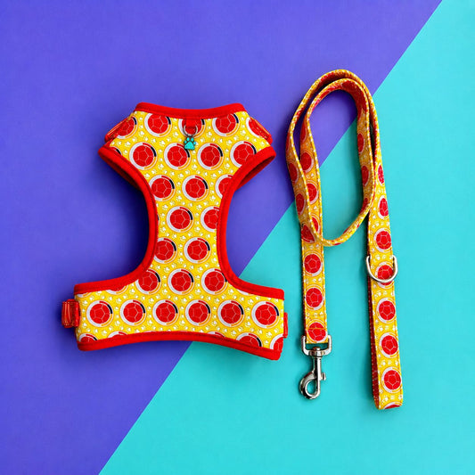 Pechera para perros con correa Colombia