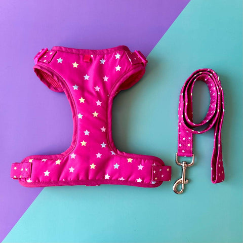 Kit completo para perro