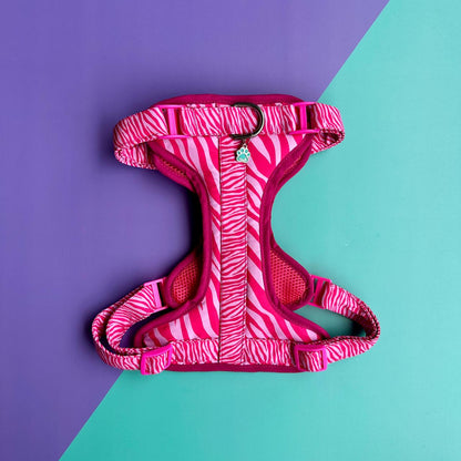 Pechera para perros antitirones - Cebra Fucsia