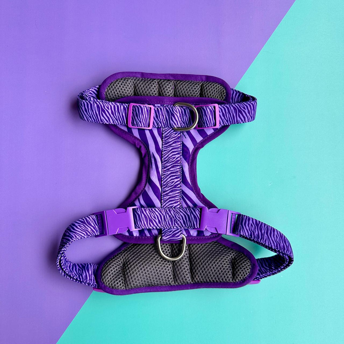 Pechera para perros antitirones - Cebra lila