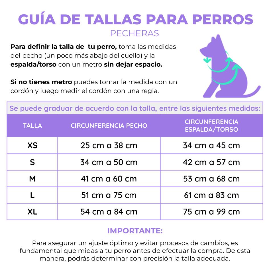 Pechera para perros con correa Halloween calaveras