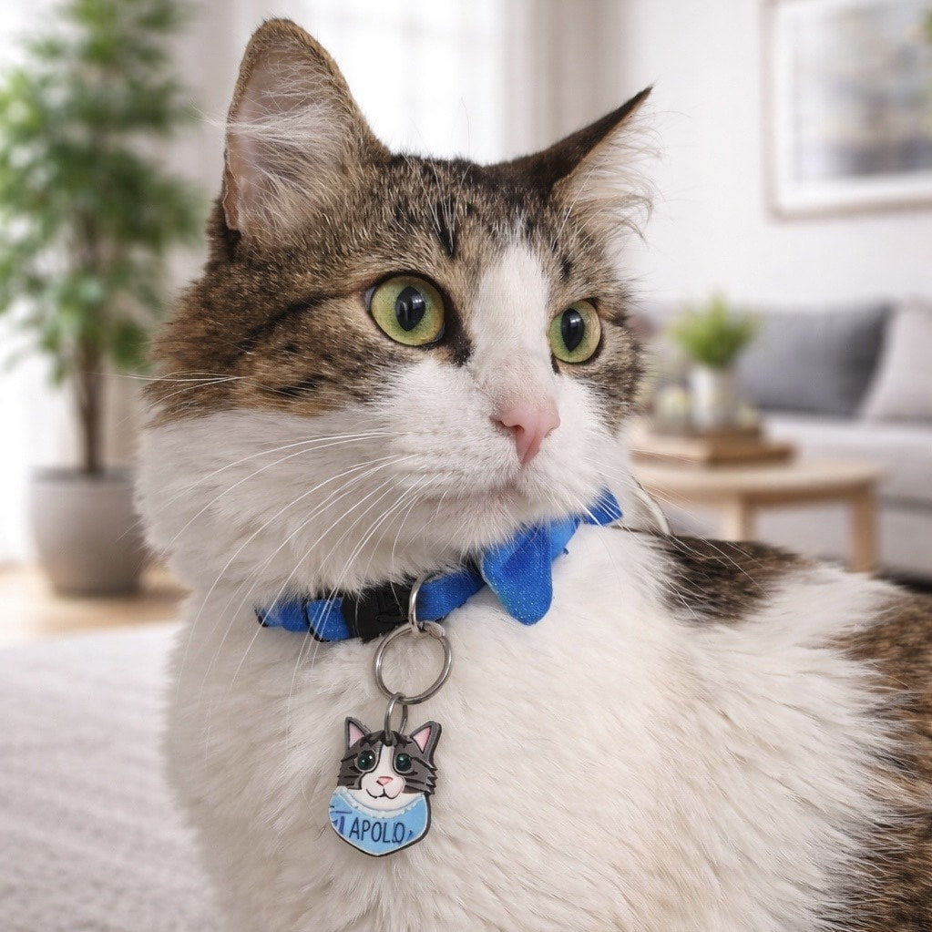 Placas para gatos personalizadas con su carita