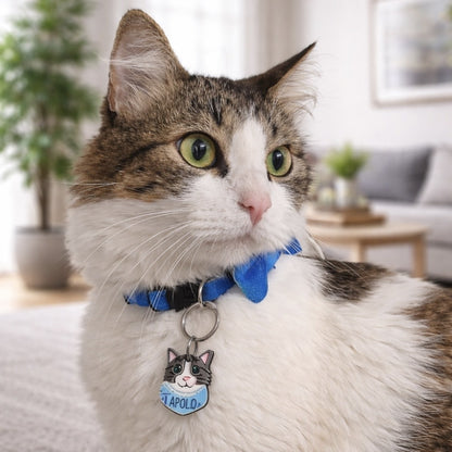 Placas para gatos personalizadas con su carita