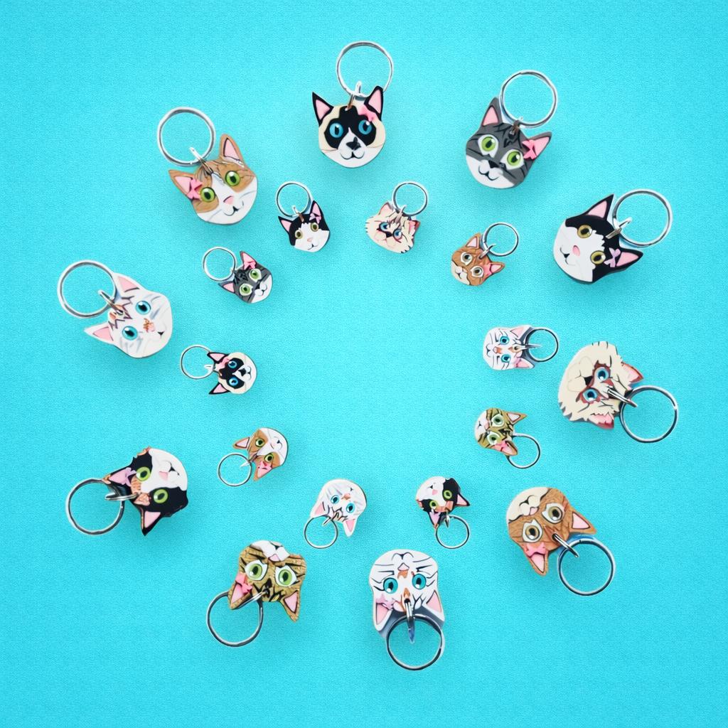 Placas para gatos personalizadas con su carita