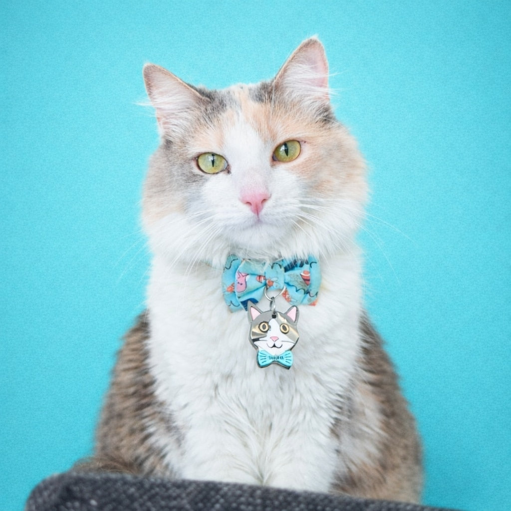 Placas para gatos personalizadas con su carita