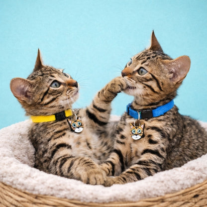 Placas para gatos personalizadas con su carita