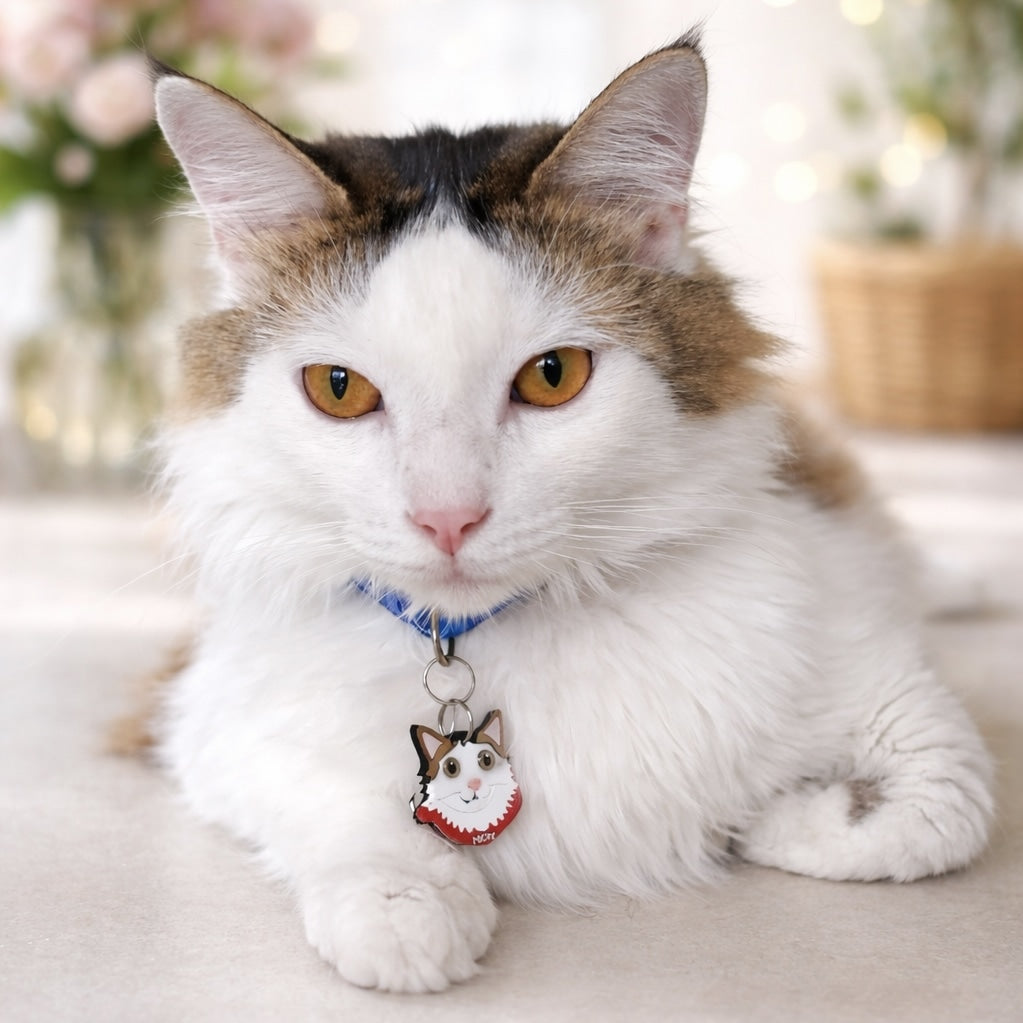 Placas para gatos personalizadas con su carita