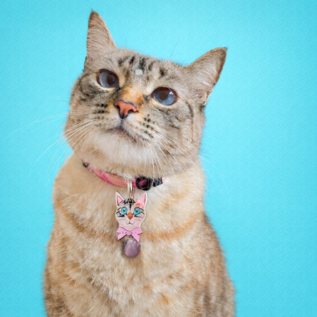 Placas para gatos personalizadas con su carita