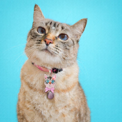 Placas para gatos personalizadas con su carita