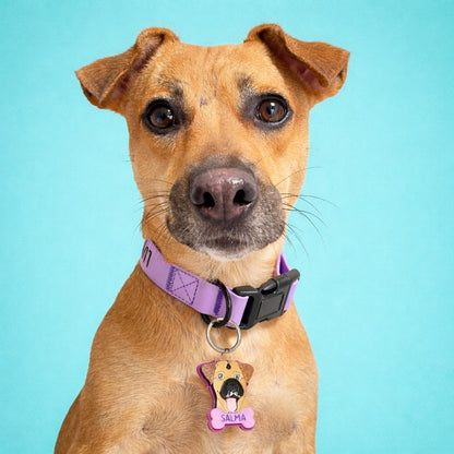 Placas para perros personalizadas con su carita