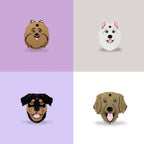 Placas para perros personalizadas con su carita