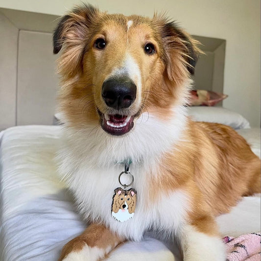 Placas para perros personalizadas con su carita