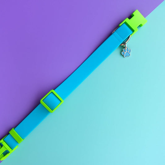 Collar para perros en goma impermeable azul y verde neón