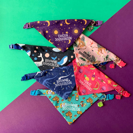 Pañoletas para perros personalizadas