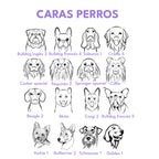 Placa de identificación acero círculo