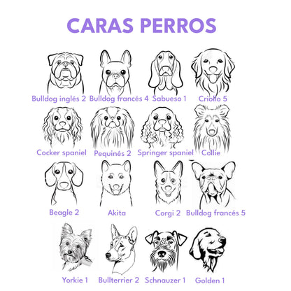 Placa de identificación acero hueso