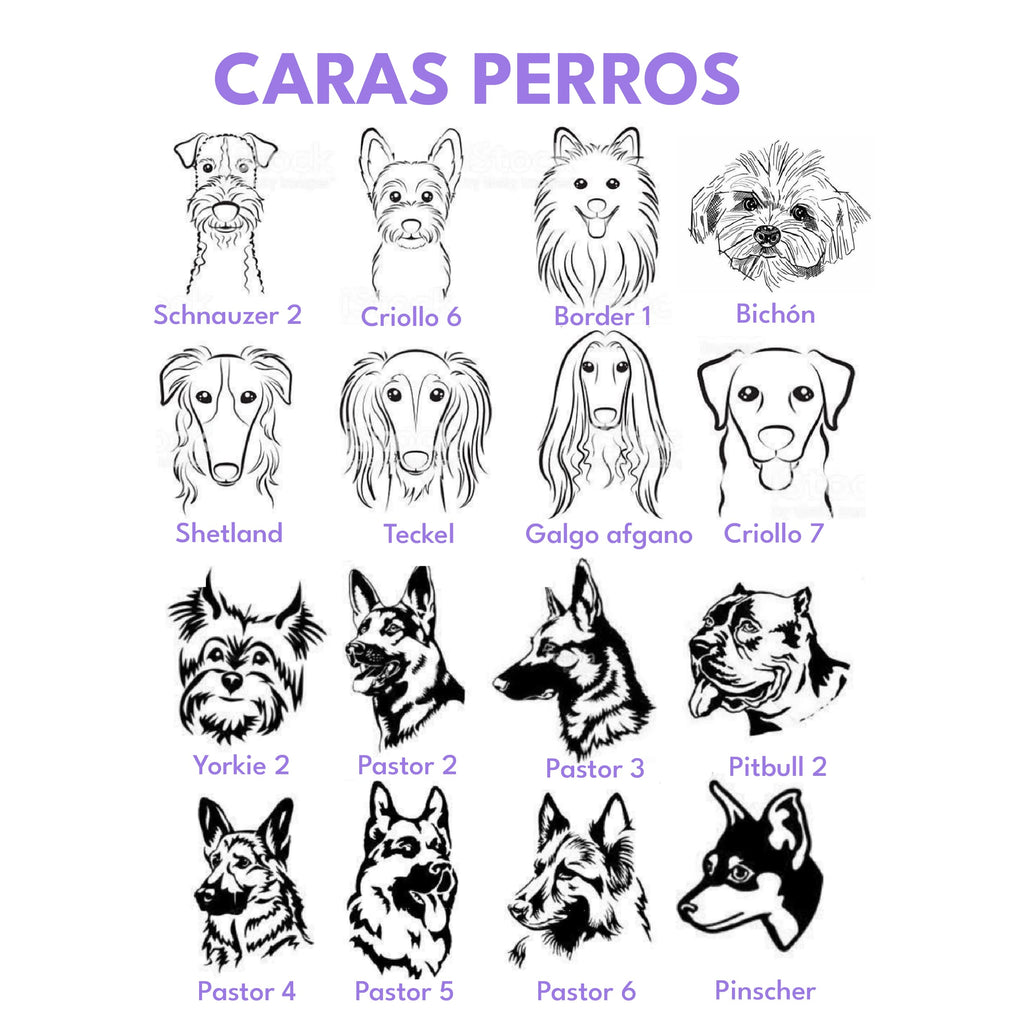 Placa de identificación acero círculo