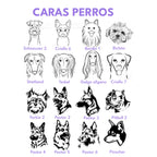 Placa de identificación acero círculo