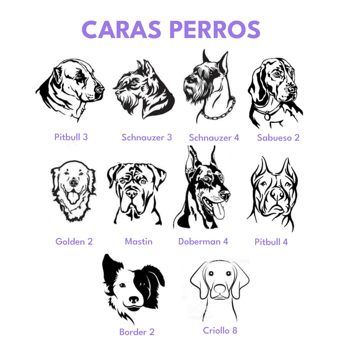 Placa de identificación acero círculo