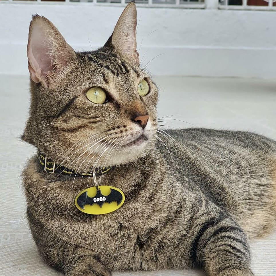 Placa de identificación Batman